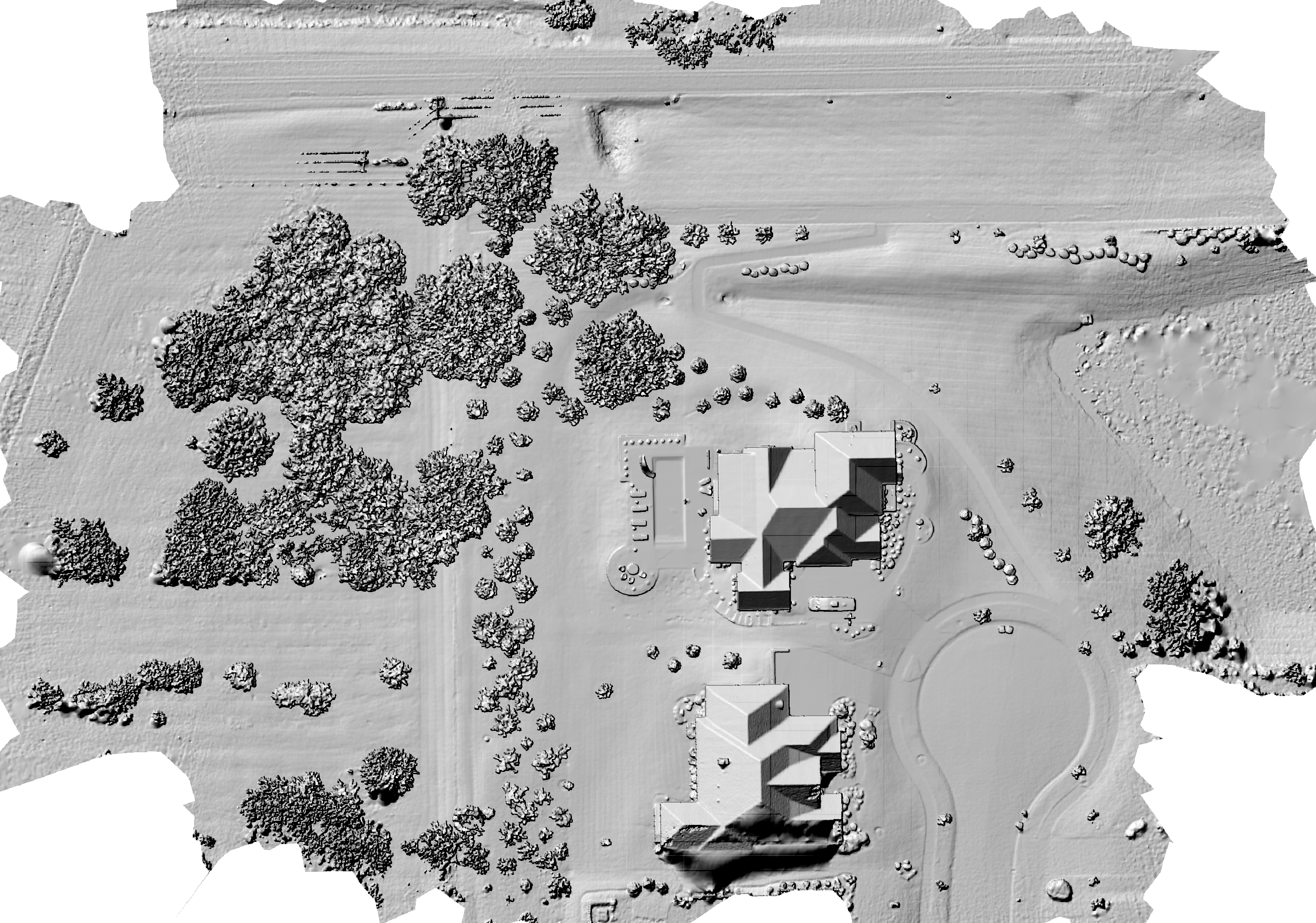 Grayscale hillshade relief of the residential estate showing the two houses, circular drive, tree clusters, and terrain texture