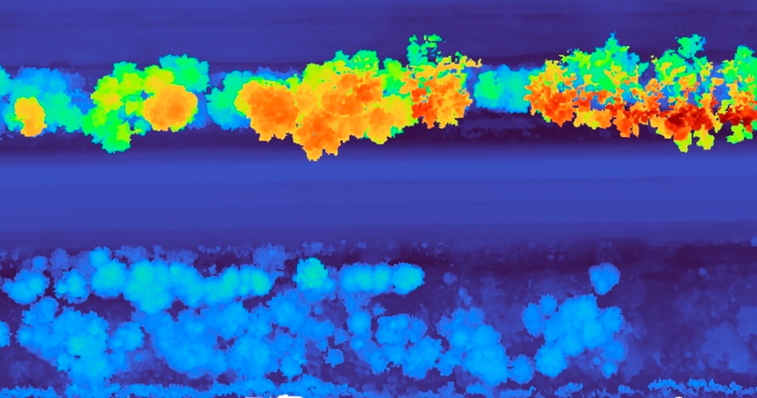Smoothed digital surface model of the rail corridor colorized by elevation, with tall canopy in warm colors and the graded track bed in cool blue